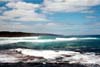 100-4-kangarooisland
