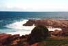100-kangarooisland